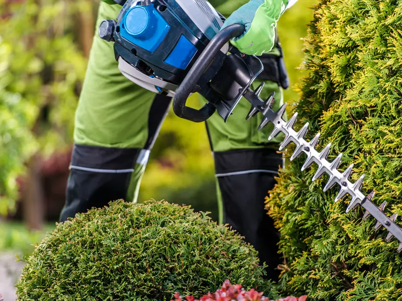 Élagage Taille de haies